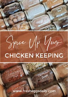 the words spice up your chicken keeping are in front of jars filled with spices