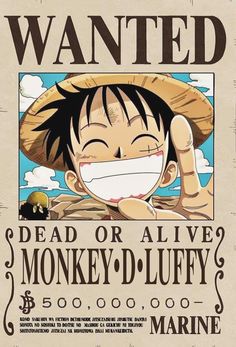 the poster for one piece wanted dead or alive monkey d luffy