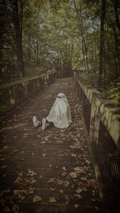 a white cloth draped over a woman's body on a bridge in the woods