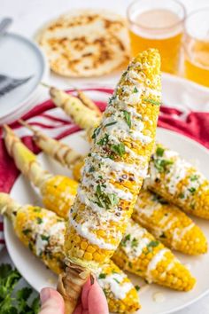 grilled corn on the cob with parmesan cheese and sour cream sauce