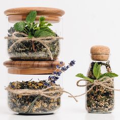 three jars filled with different types of herbs