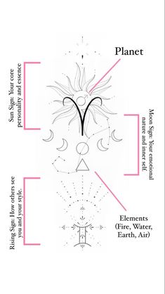 the diagram shows how to draw an animal's head and its body in different directions