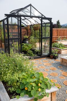 a small greenhouse with lots of plants in it