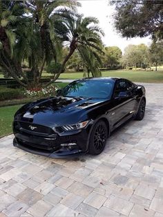 a black mustang is parked in front of some palm trees and bushes on a brick driveway