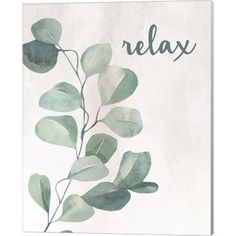 there is a plant with leaves on it and the words relax written in black ink