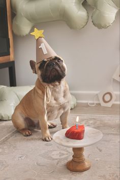 a small dog wearing a party hat sitting next to a cake with a candle on it