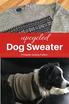 an upcycled dog sweater is shown with the text overlay that reads, upcycled dog sweater printable sewing pattern