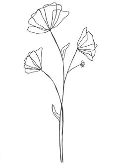 Botanical Outline Drawings, Poppies Line Drawing, Continuous Line Floral Tattoo, Simple Floral Sketch, One Line Flower Art, Ink Flowers Simple, Poppy Drawing Easy, Line Flowers Simple, Easy Flower Outline