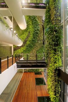 an indoor living area with plants growing on the walls and wooden floors, along with glass railings