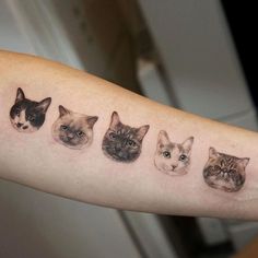 a woman's arm with five cats on it, all in different colors and sizes