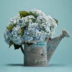 a blue watering can filled with flowers on top of a green background and the caption says, i love the soft, pillowy blooms of summer