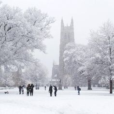 people are walking through the snow in front of a cathedral