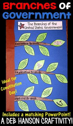 the branches of government is shown in this poster for students to learn how to use it