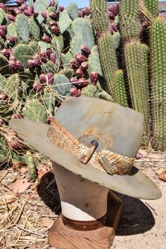 Gallery of Work — Flight of Fancy Designs Aussie Hat, Vintage Cowboy Hat, Hat Inspiration, Rattle Snake, Beaded Hat Bands, Desert Sage