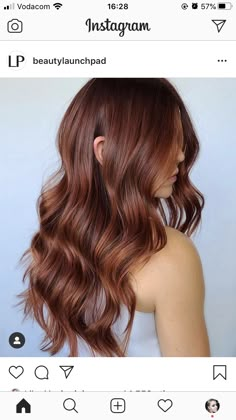 Rich Copper Brown Hair, Light Brown Red Tint Hair, Auburn Hair With Brown Roots, Soft Cinnamon Hair Color, Dark Copper Brunette Hair, Medium Copper Brown Hair Color, Light Burgundy Brown Hair, Auburn Hair With Dimension, Auburn Gloss On Brown Hair