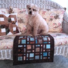 a white dog sitting on top of a couch next to pillows and a pillow case