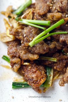 some food on a white plate with green onions and seasoning sprinkles