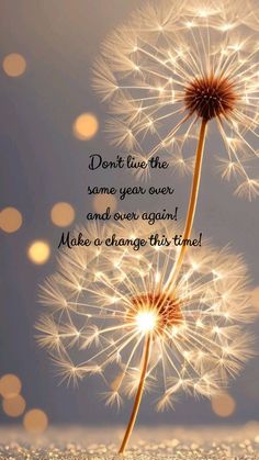 a dandelion with the words don't live the same year over and never again