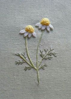 two yellow and white daisies on a gray surface with green stems in the middle