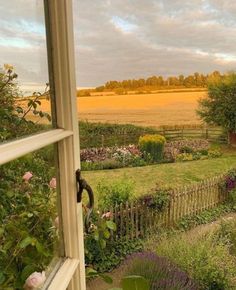 an open window looking out at a field and trees in the distance with flowers growing on it