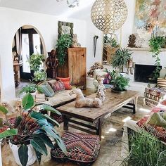 a living room filled with lots of furniture and plants on top of it's tables