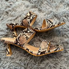 Leopard, Print, Small Kitten Heel Sandals, Brand: Venus, Size 7 Brand New Unworn Without Box Brown Low Heel Sandals For Party, Brown Low Heel Party Sandals, Brown Low Heel Synthetic Heels, Small Kitten, Small Kittens, Kitten Heel Sandals, Kitten Heel, Heeled Sandals, Heel Sandals