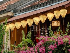 lanterns hanging from the side of a building with pink flowers in front of it and greenery around them