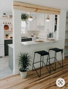 a kitchen with two stools next to a counter top and a potted plant