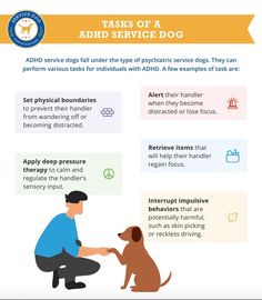 Service Dog Tasks, Meds For Dogs, Service Dog Patches