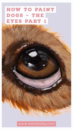 an animal's eye with the words how to paint dogs - the eyes part 1