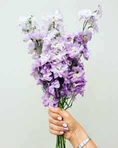 a woman holding a bunch of purple flowers in her hand with white nail polish on it