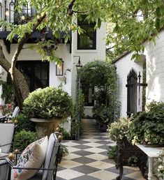 a black and white checkered patio with potted plants