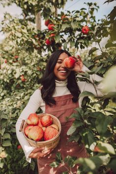 a woman holding a basket full of apples in an apple tree filled with red apples