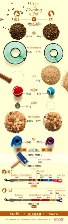 an info sheet shows the different types of food and how they are made in it