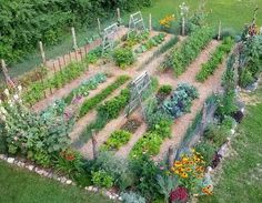 an aerial view of a vegetable garden in the middle of a field with many different types of vegetables