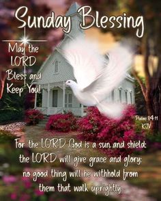 a white dove flying in front of a house with the words sunday blessing on it