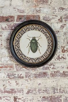 Vagabond Vintage Wood Framed Round Insect Print with Glass Front - I | Modishstore | Wall Decor Decor Objects, Insect Print, Art And Nature, Northern Europe, Vintage Iron, Wall Planter, Decorative Accents, Room Designs, Rustic Design