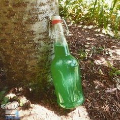 a green bottle sitting on the ground next to a tree