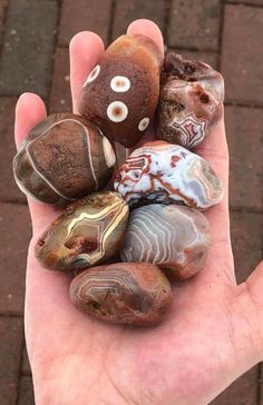 a person's hand holding several different colored rocks in their palm, some with white and brown designs on them