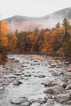 a river running through a forest filled with lots of trees covered in fall leaves and mist