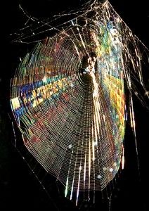 a spider web is shown in the dark with its light reflecting off it's side