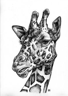 a black and white drawing of a giraffe's head with his eyes closed