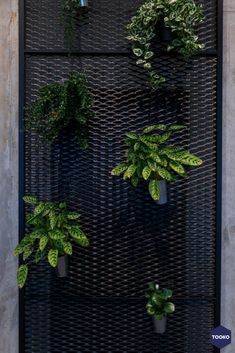 several plants are hanging on the side of a building with black metal mesh walls and doors