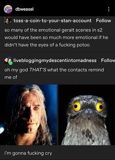 an owl with yellow eyes is shown next to a man's face and the caption says,