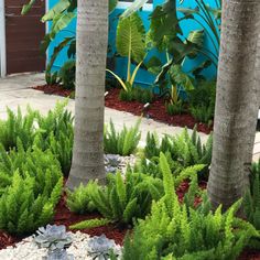 some trees and plants in front of a blue building