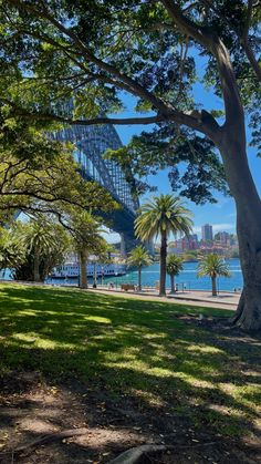 the view of sydney harbour from hyde park