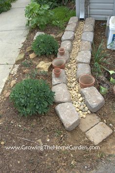 a garden with rocks and plants growing in it