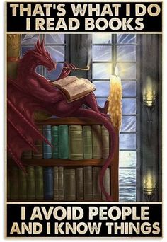 there is a red dragon sitting on top of a bookshelf with the words, that's what i do read books