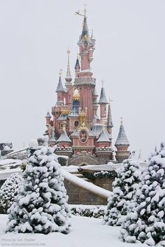 the castle is surrounded by snow and trees