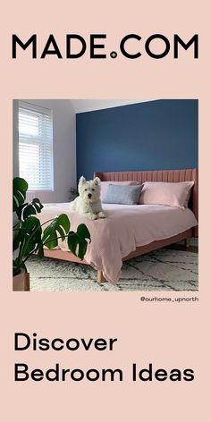 a white dog sitting on top of a bed in a bedroom next to a plant